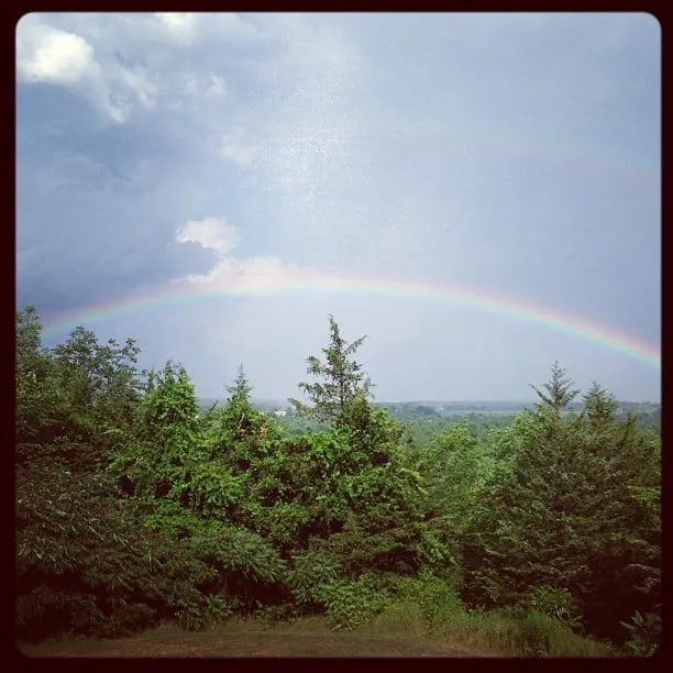 Always a rainbow shining over The Isaac Foundation head office :-)